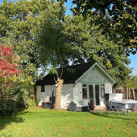 Pheasant Lodge Wimborne Minster Eksteriør bilde
