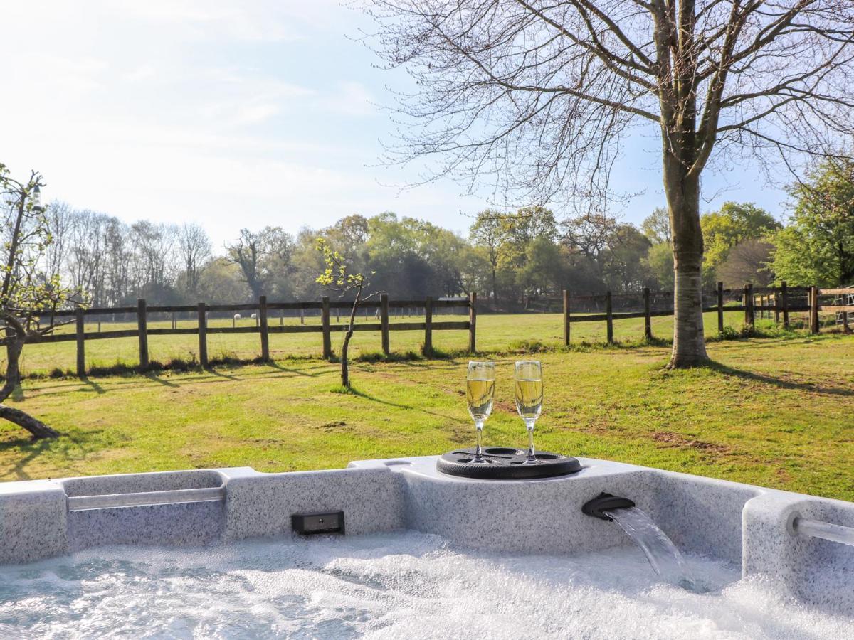 Pheasant Lodge Wimborne Minster Eksteriør bilde
